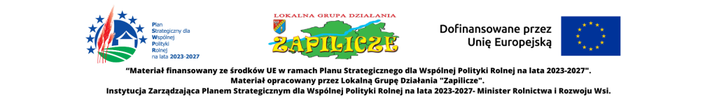 Belka20artykuC582