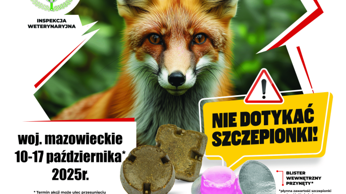 szczepienia lisow plakat a3 10 17 pazdziernika 2025 druk UNIA2 scaled 1