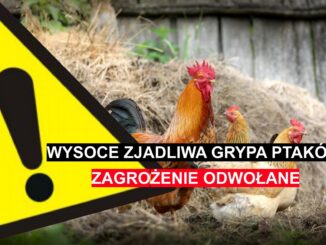 2204 Ptasia grupa odwolana